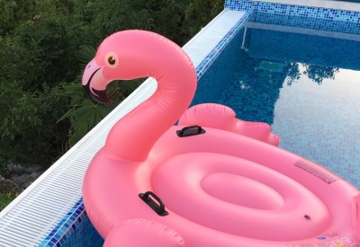 flamingo-c-brugger