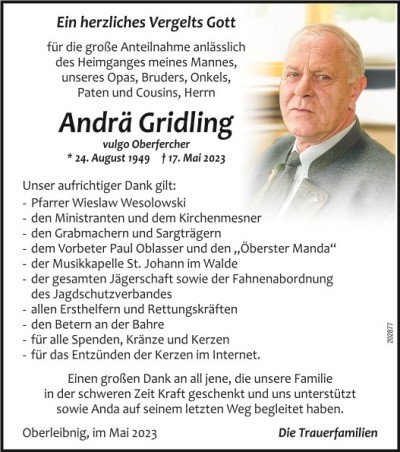 d-gridling-202877-22-23