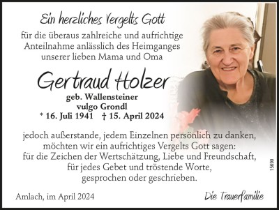 2_d-holzer-15690-18-24